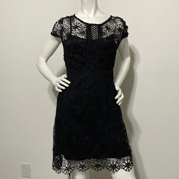 Zara Basic Collection Black Lace Cocktail Dress Size M - Picture 3 of 9